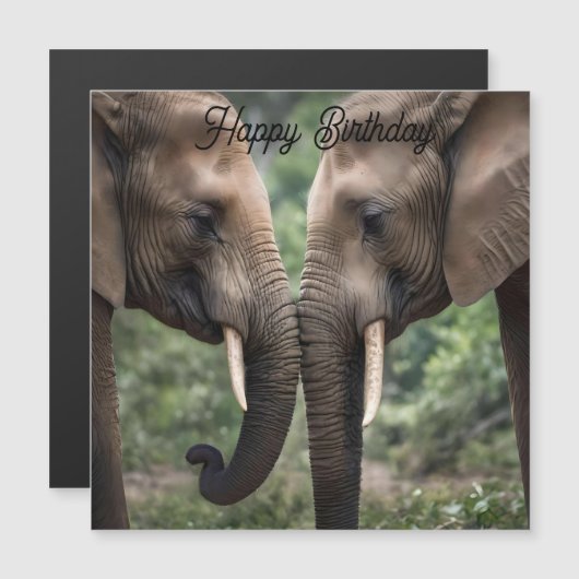 象の家族の愛 (正面/裏面)