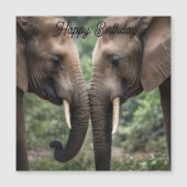 象の家族の愛 (正面)