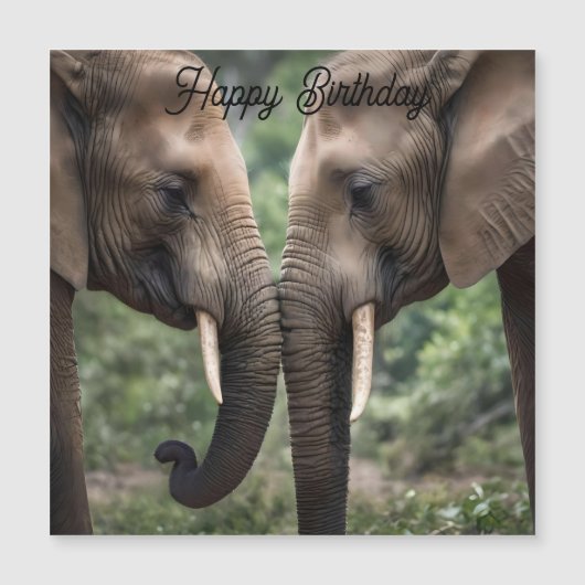 象の家族の愛 (正面)