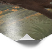 象の家族「結びつく絆」 フォトプリント            (角)