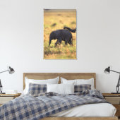 象の幹が子孫に触れる（ケニア） キャンバスプリント (インサイチュ (寝室))