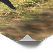 象の幹が子孫に触れる(ケニア) ポスター (角)