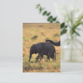 象の幹が子孫に触れる(ケニア) ポストカード (スタンド正面)