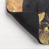 象の幹が子孫に触れる(ケニア) マウスパッド (コーナー)