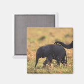 象の幹が子孫に触れる（ケニア） マグネット (正面/裏面)