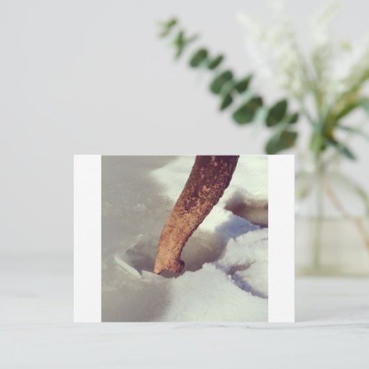 象の幹 ポストカード (スタンド正面)