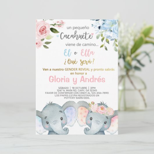 象の性別が招待を明らかにスペインのする。 招待状 (スタンド正面)