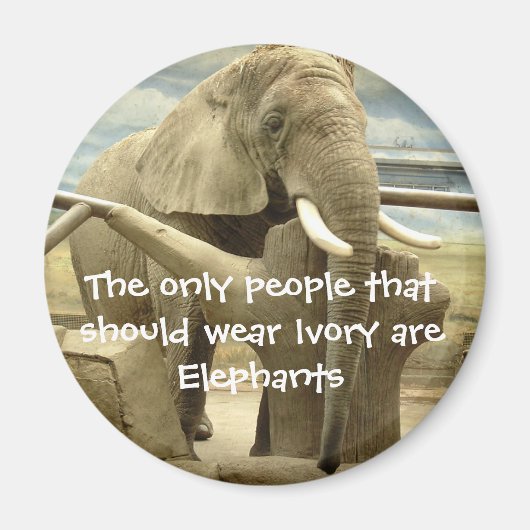 象の愛 マグネット (正面)