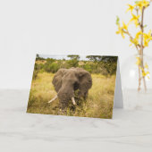 象の挨拶状 カード (黄色い花)