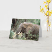 象の挨拶状 カード (黄色い花)