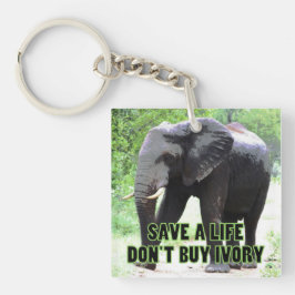 象の救命、アイボリーするな買 キーホルダー