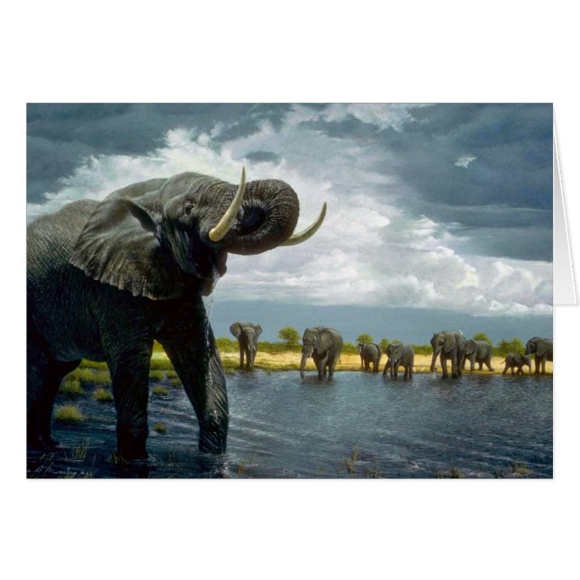 象の歩行 (正面横)