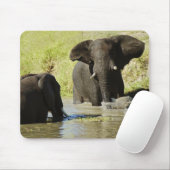 象の水泳 マウスパッド (マウス)