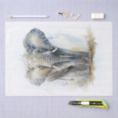 象の水色 薄葉紙 (クラフト)