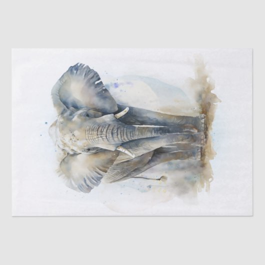 象の水色 薄葉紙 (正面)