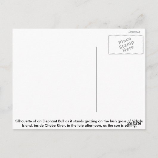 象の牛の日没のシルエット ポストカード (裏面)