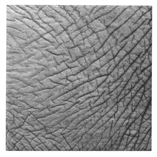 象の皮 タイル (正面)