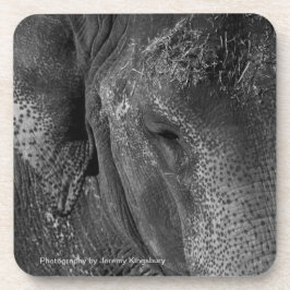 象の目の飲料用コースター コースター