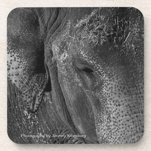 象の目の飲料用コースター コースター (正面)
