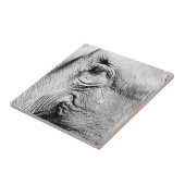 象の目2017年 タイル (側面)