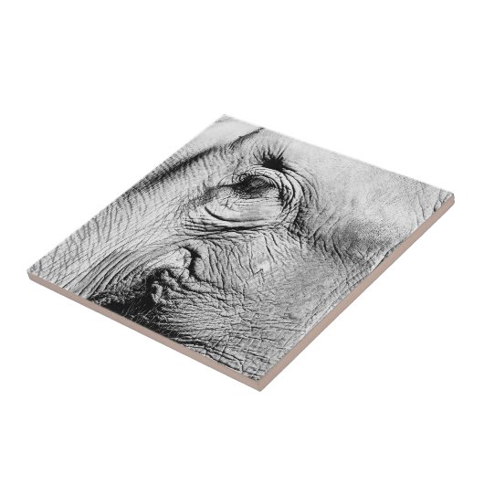 象の目2017年 タイル (側面)