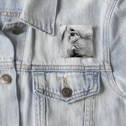 象の目2017年 缶バッジ (インサイチュ)