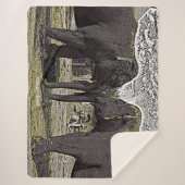 象の目 シェルパブランケット (正面)