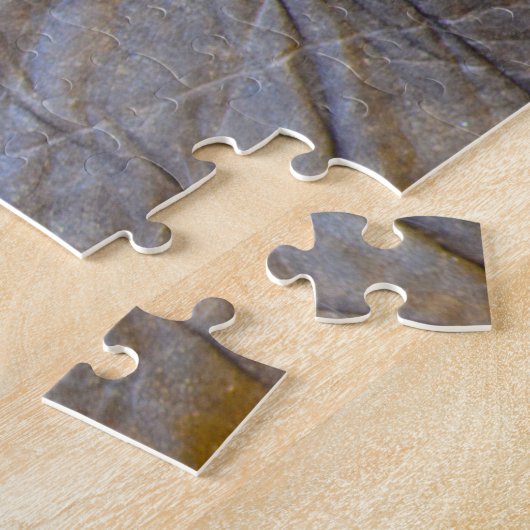 象の目。 ジグソーパズル (側面)