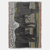 象の目 スローブランケット (正面縦)