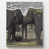 象の目 フォトプラーク (正面)