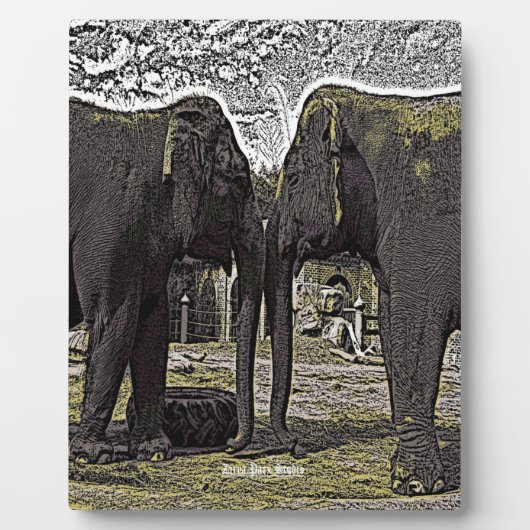 象の目 フォトプラーク (正面)