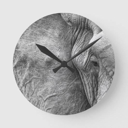 象の目 ラウンド壁時計 (正面)