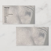 象の目 名刺 (正面/裏面)