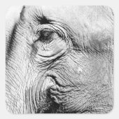 象の目， 2017 スクエアシール (正面)