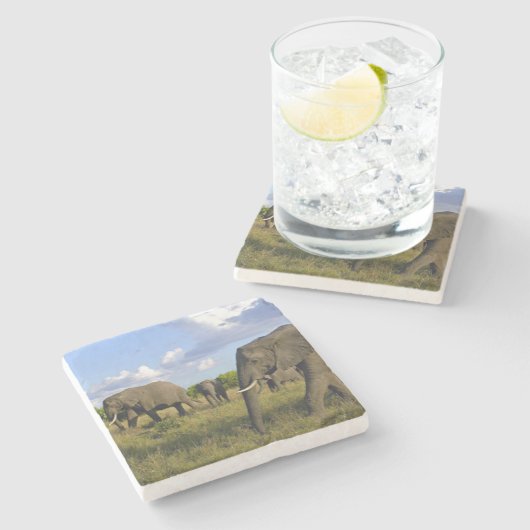 象の石造りのコースター ストーンコースター (横)