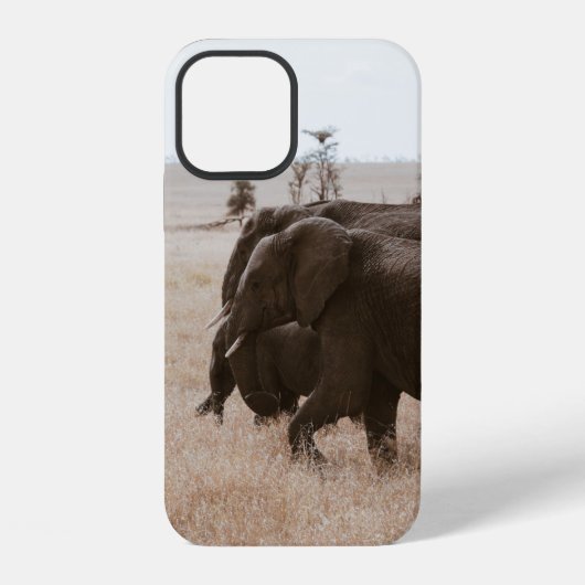 象の種族 iPhoneケース (裏面)