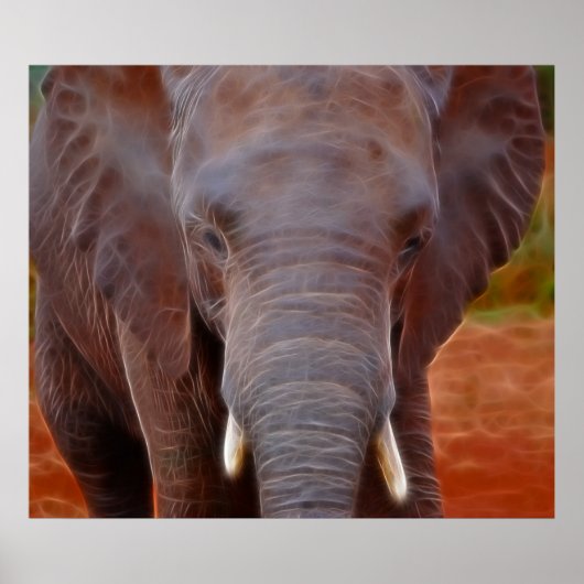 象の突撃 ポスター (正面)