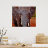 象の突撃 ポスター (キッチン)