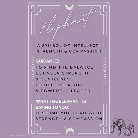 象の精霊の動物の装飾的裁断ボード カッティングボード