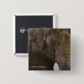 象の終わり 缶バッジ (正面&裏面)