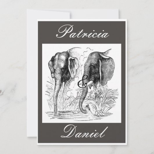 象の結婚式 招待状 (裏面)