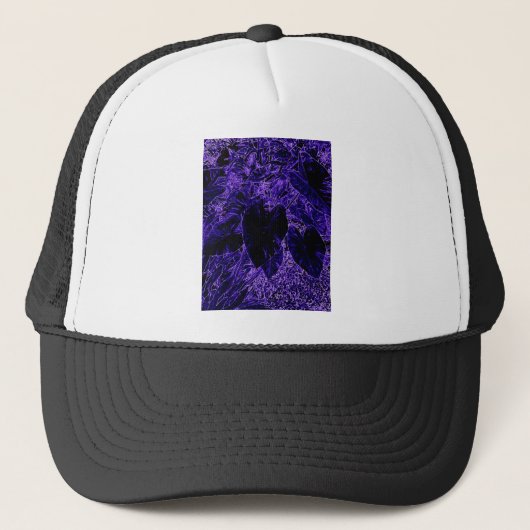 象の耳の葉の最深紫 キャップ (正面)