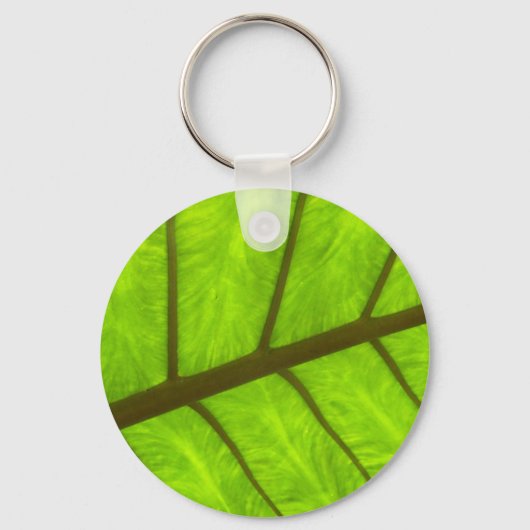 象の耳太郎キーリング キーホルダー (正面)