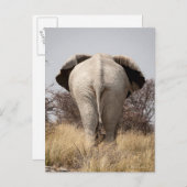 象の背面図 ポストカード (正面/裏面)