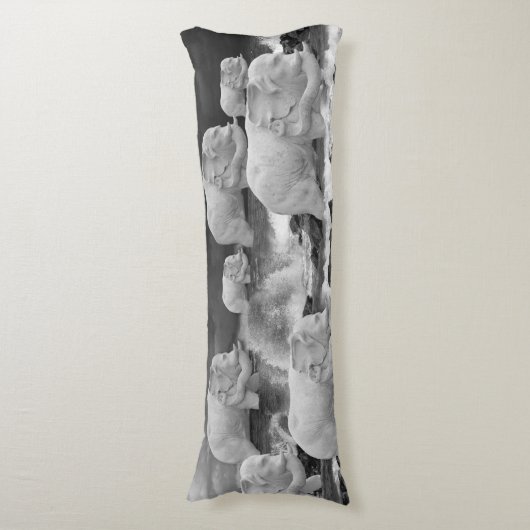 象の航海 ボディピロー (正面縦)