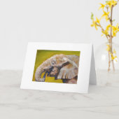 象の芸術の挨拶状 カード (黄色い花)