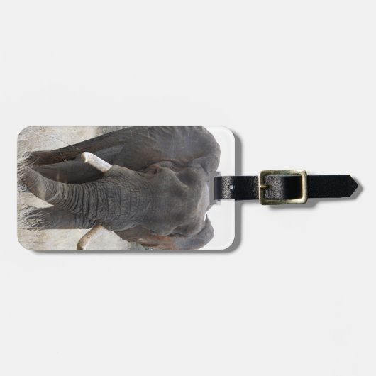 象の荷物のラベル ラゲッジタグ (正面横)