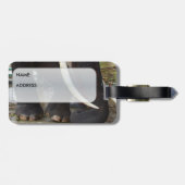 象の荷物のラベル ラゲッジタグ (裏面横)