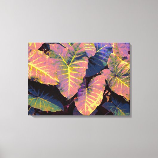 象の葉で熱帯 キャンバスプリント (正面)