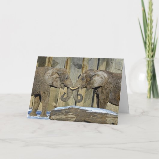 象の親友の休日カード シーズンカード (正面)